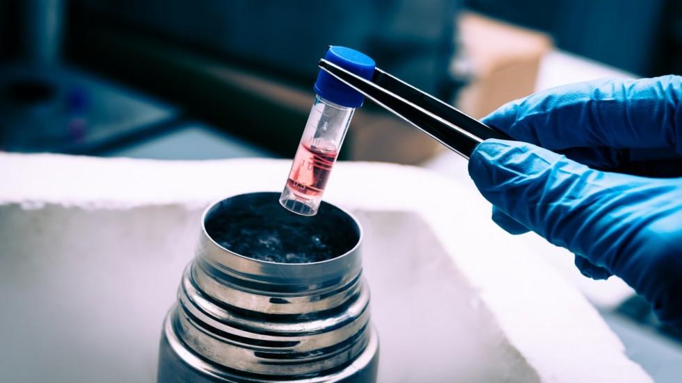 Naučnici  godinama pokušavaju dobiti matične ćelije iz kloniranih ljudskih embriona - Avaz