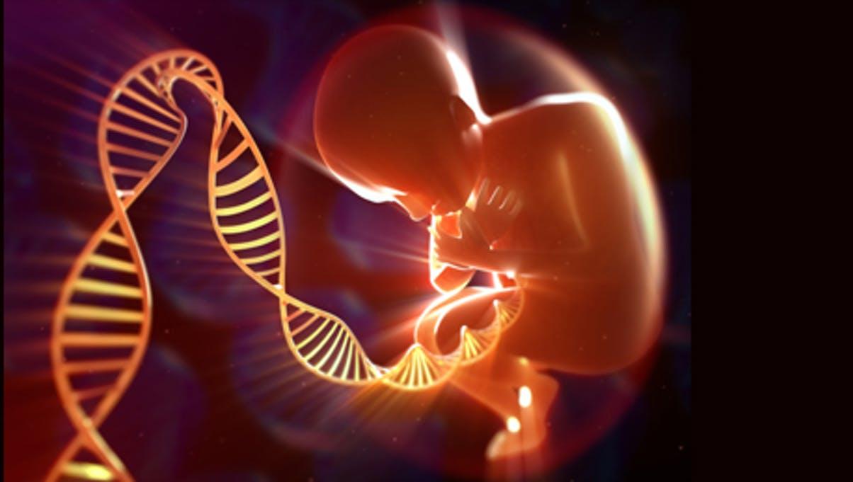 Danas se zna da su upute za izgradnju ljudskog tijela zapisane u genima - Avaz