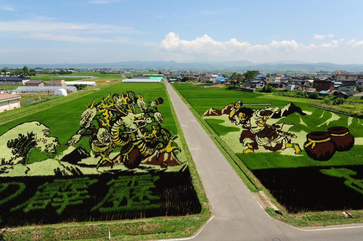 Umjetnička djela na poljima riže u Japanu