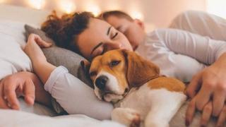 Prednosti i mane dijeljenja kreveta sa psom