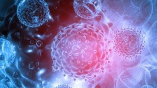 Rak i autoimune bolesti mogao bi liječiti ili spriječiti jedan protein