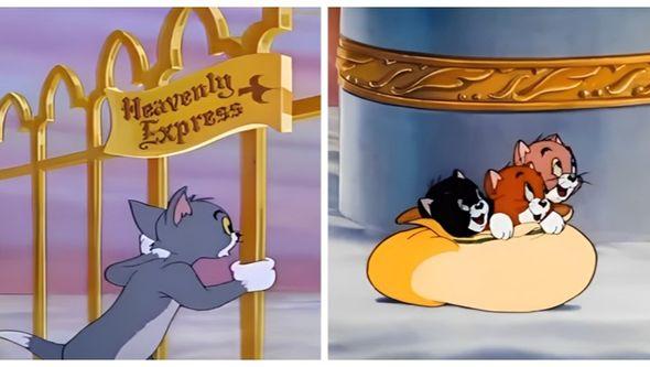 Tom i Jerry - Avaz