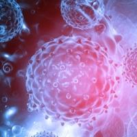 Rak i autoimune bolesti mogao bi liječiti ili spriječiti jedan protein