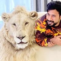 Šeik drži tigrove, lavove, medvjede kao kućne ljubimce: Milioni ga prate na Instagramu, svi su šokirani