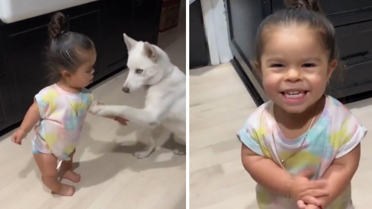Trogodišnja djevojčica naučila svog psa trikovima, pozorno sluša naredbe