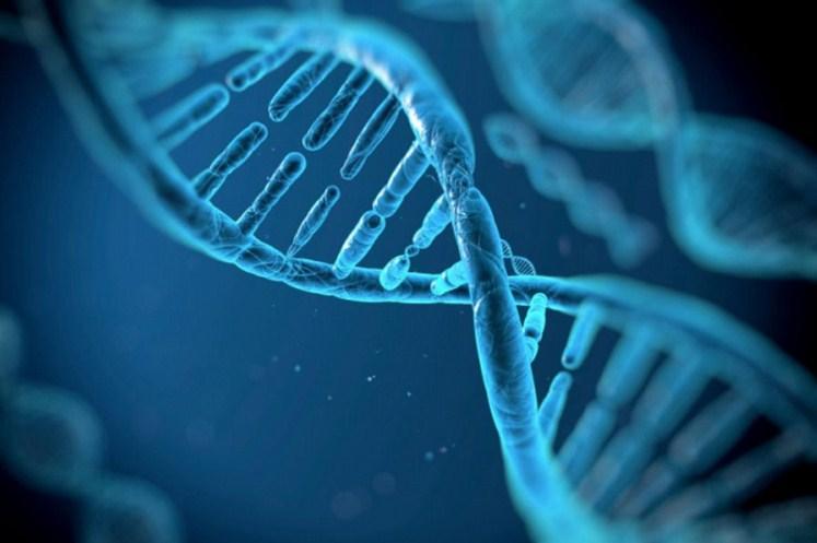Naučnici prvi put preuredili gene u ranom stadiju razvoja