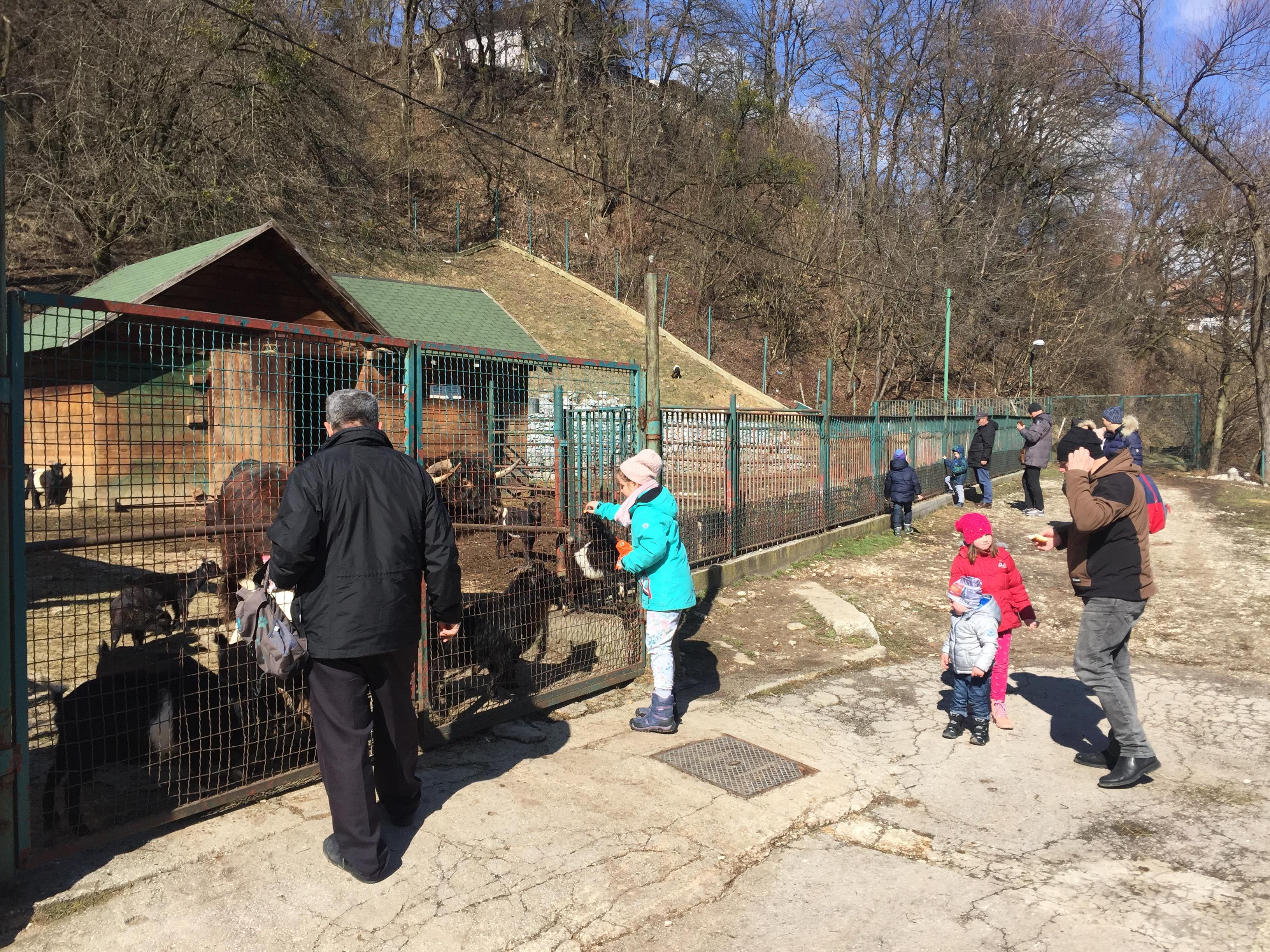 Avaz.ba u posjeti Pionirskoj dolini: Mališani uživali u obilasku životinja