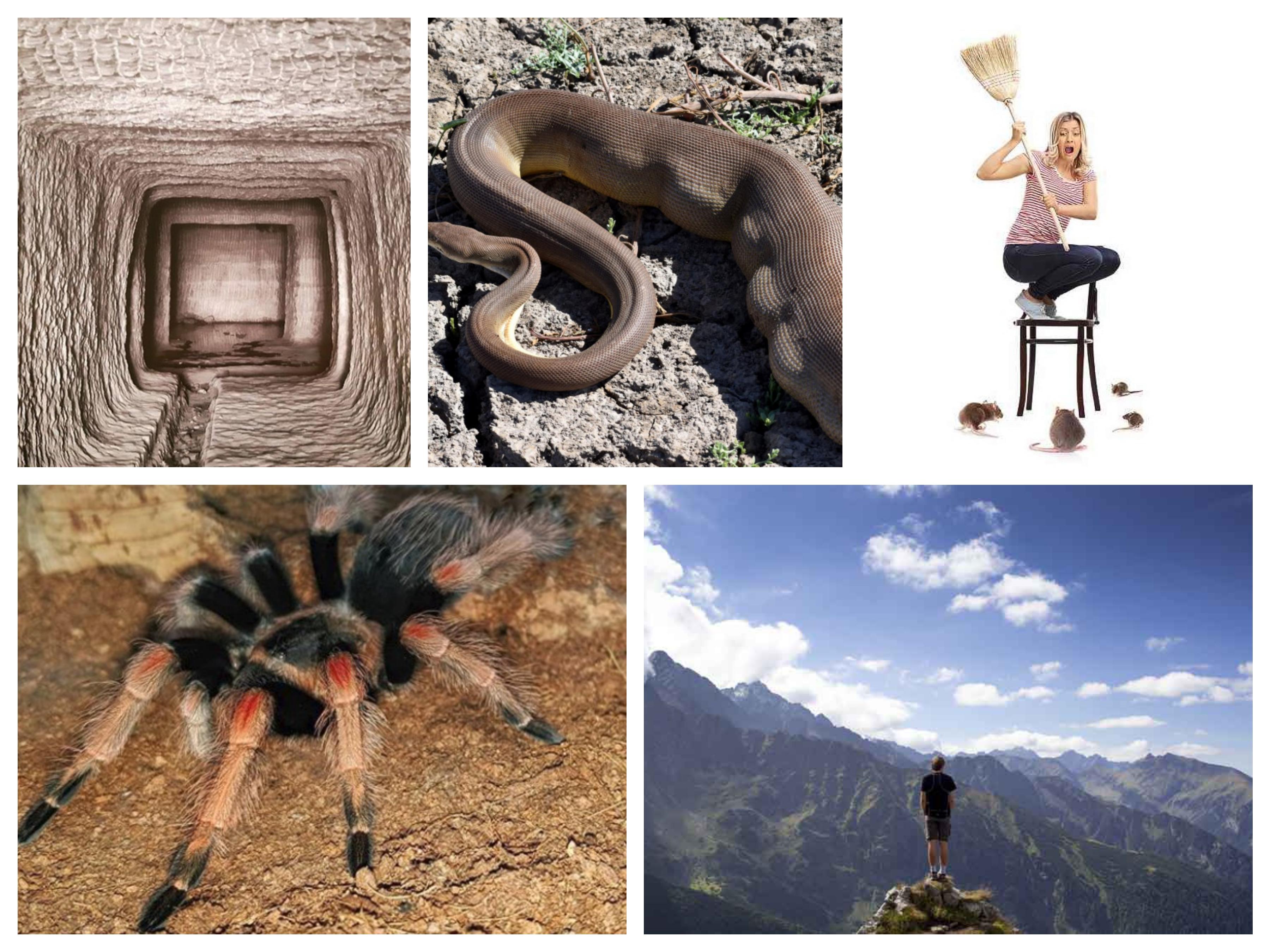 Čega se bojite: Visine, zmija, pauka, miševa ili nečeg drugog