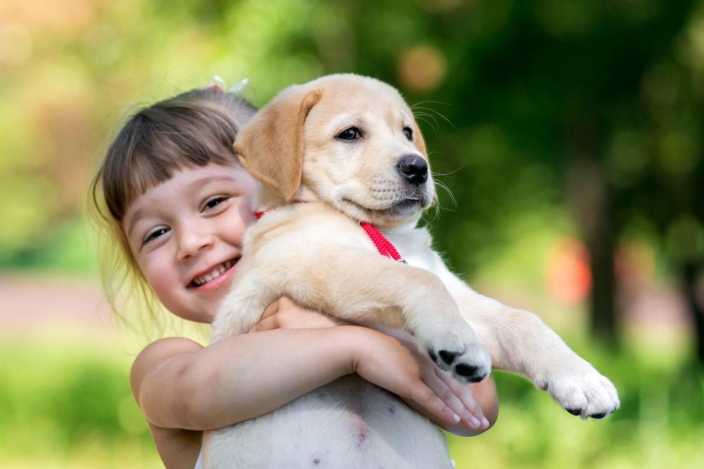 Psi su najzahtjevniji ljubimci, ali i najbolji prijatelji djeci - Avaz