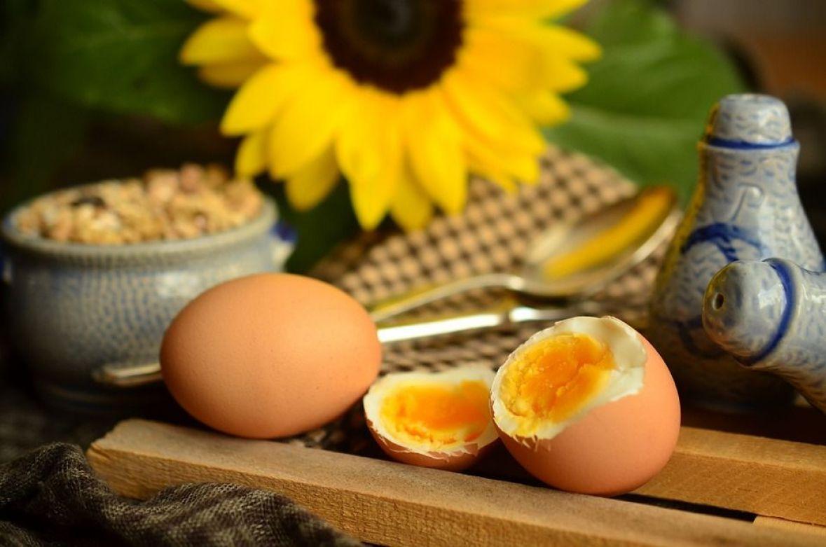 Jaja prije konzumiranja što krađe termički obrađujte - Avaz