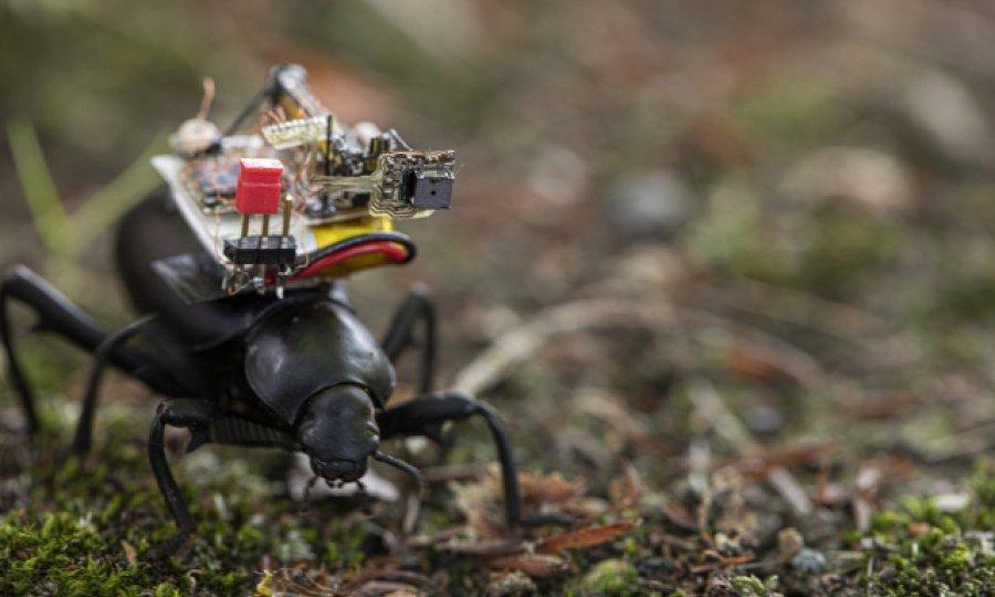 Minijaturna robotska kamera vodi nas u život insekata