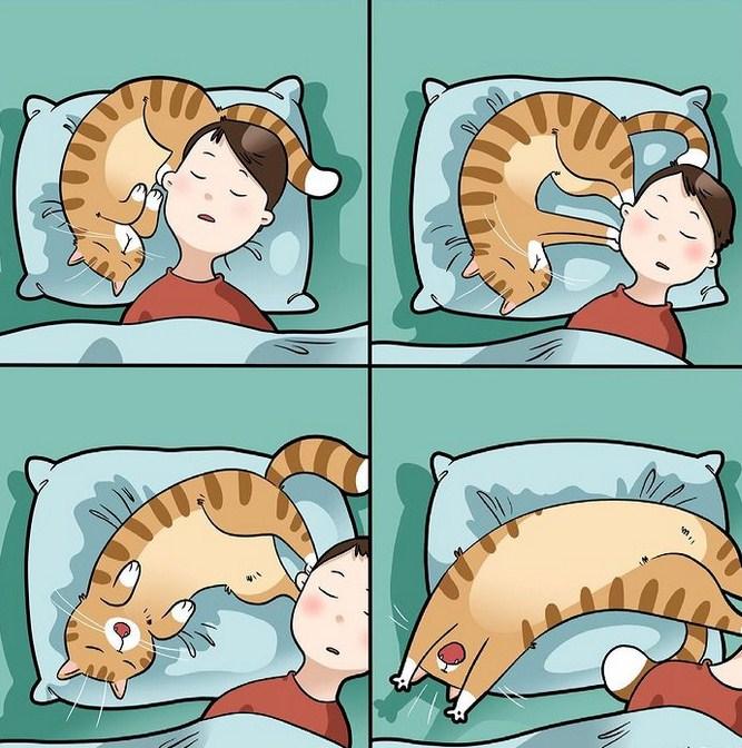 Ruska umjetnica stripom pokazala kako izgleda život s mačkama
