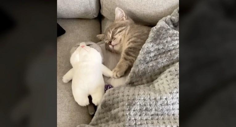 Maca zaspala držeći svoju omiljenu igračku za ruku