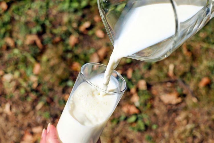 Srbija privremeno zabranila izvoz mlijeka, povećane i cijene