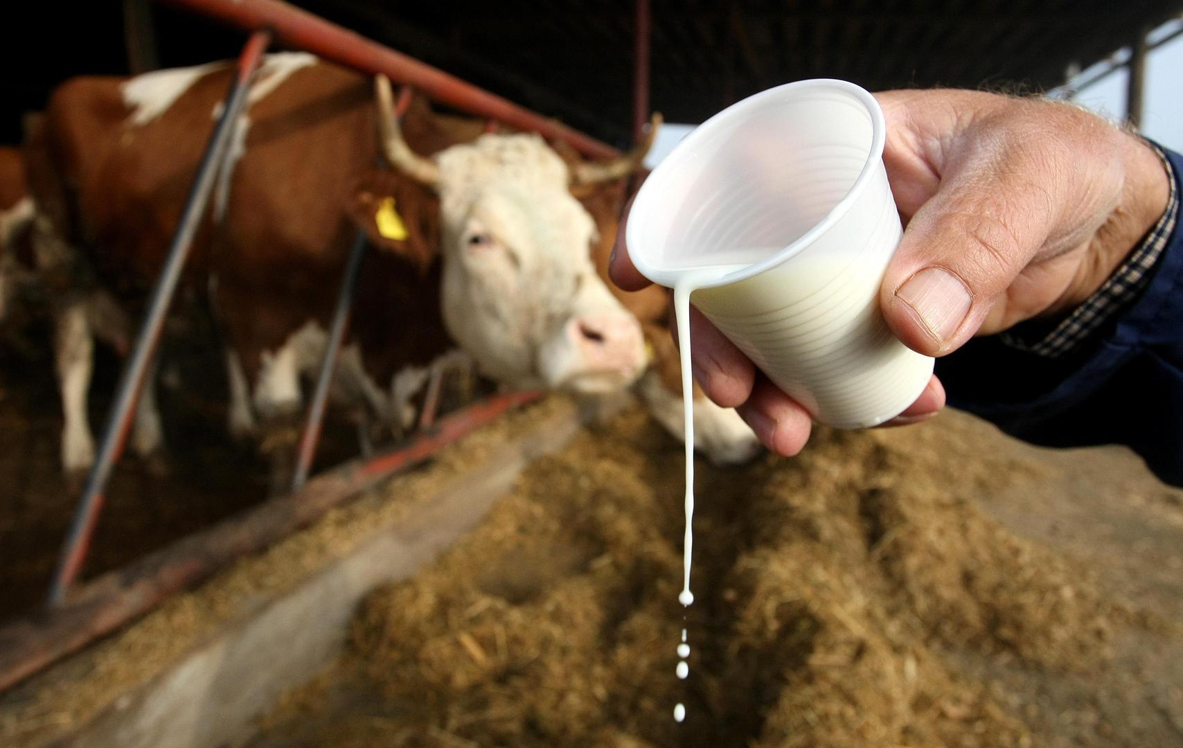 Proizvođači mlijeka iz Federacije i iz RS za "Avaz": Prijeti li nam nestašica mlijeka