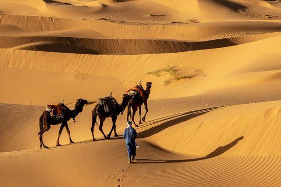 Sahara je najveća vruća pustinja na svijetu