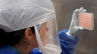 Svjetska zdravstvena organizacija zabrinuta: Ptičija gripa može izazvati novu pandemiju