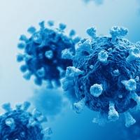 U Crnoj Gori registrirani prvi slučajevi podsojeva koronavirusa