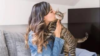Razlozi zašto ne treba ljubiti mačke