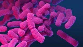 Otkriven lijek protiv smrtonosne superbakterije koja se ubrzano širi bolnicama