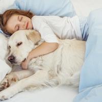 Je li moguće odviknuti psa od spavanja u vlasnikovom krevetu
