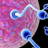 Naučnici otkrili novu metodu kojom je moguće potaknuti kretanje spermija
