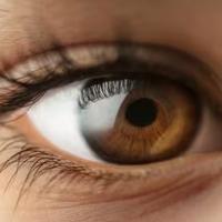 Plave, zelene, smeđe: Kako boja očiju utječe na kvalitet vida