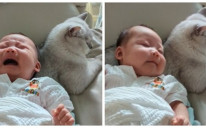 Mačak uspavljuje bebu